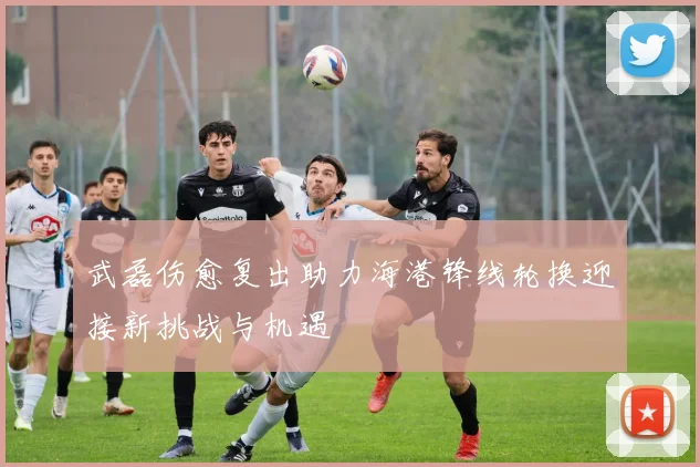 武磊伤愈复出助力海港锋线轮换迎接新挑战与机遇